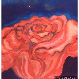 Meet your Posher, Nellie